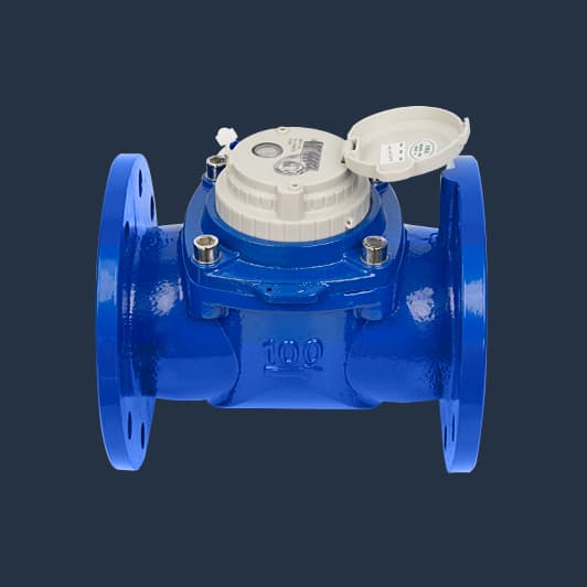 WPD Woltman Water Meter
